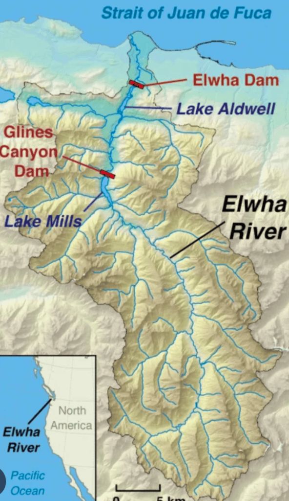 Healing the Watershed, A Historic Land Return for the Lower Elwha Klallam&nbsp;Tribe